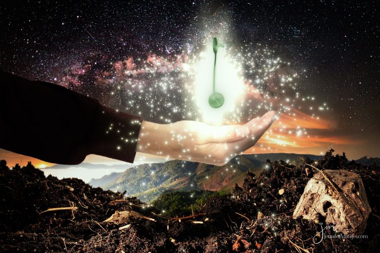 The Secret in the Mustard Seed, Part 1